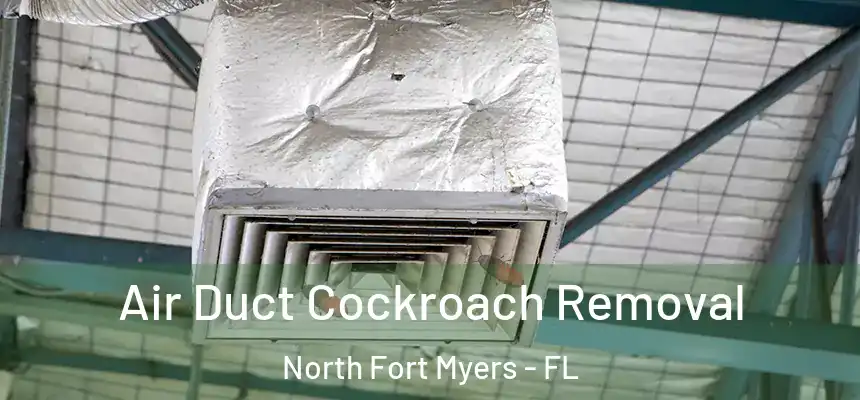 Air Duct Cockroach Removal North Fort Myers - FL