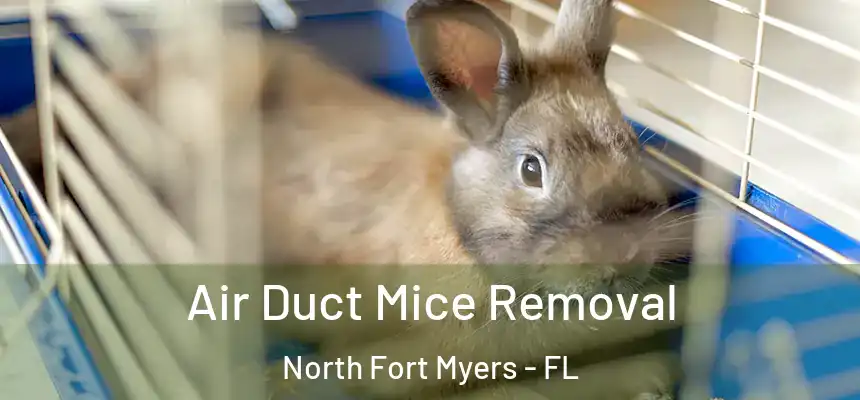 Air Duct Mice Removal North Fort Myers - FL
