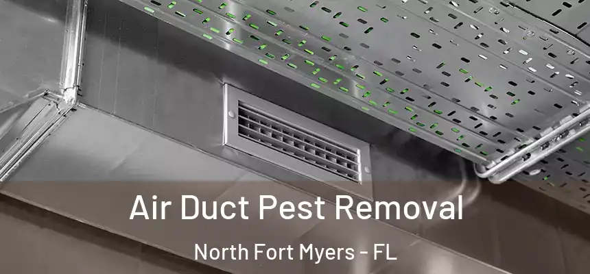 Air Duct Pest Removal North Fort Myers - FL