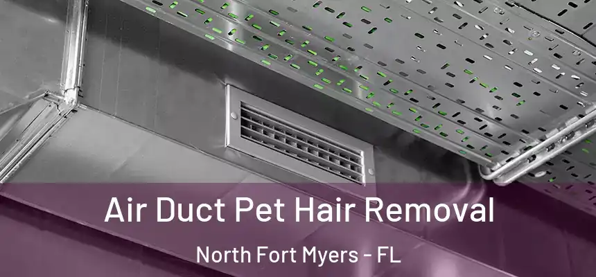  Air Duct Pet Hair Removal North Fort Myers - FL