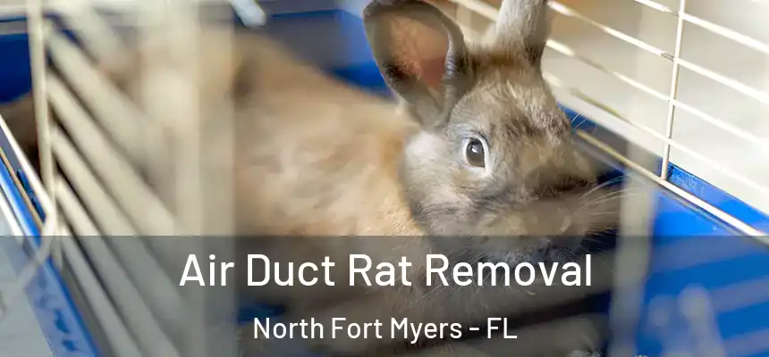 Air Duct Rat Removal North Fort Myers - FL