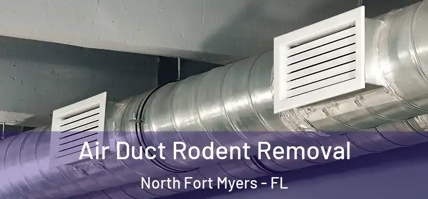 Air Duct Rodent Removal North Fort Myers - FL