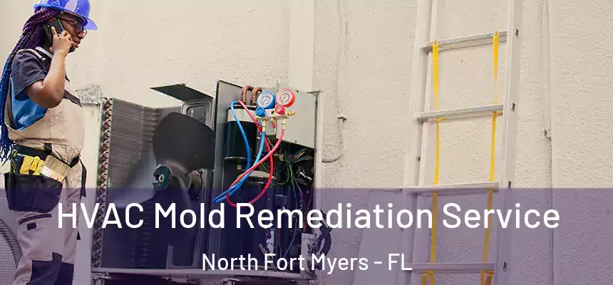  HVAC Mold Remediation Service North Fort Myers - FL