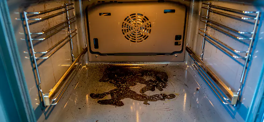 Our Dryer Vent Mold Cleaning Services in North Fort Myers, FL