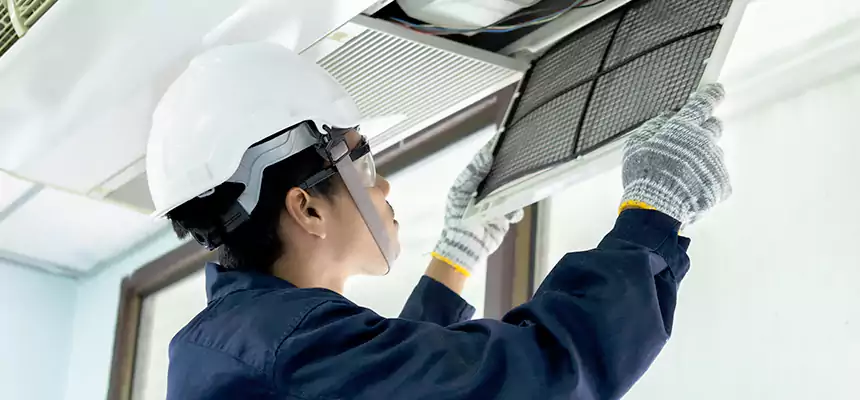 Our Mold & Mildew Removal from Air Ducts Services in North Fort Myers, FL