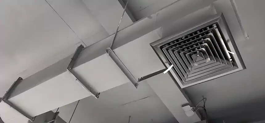 Our Pest Removal From Ducts Services in North Fort Myers, FL