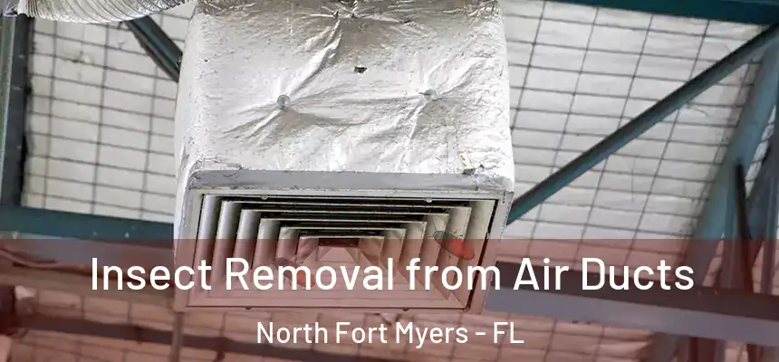  Insect Removal from Air Ducts North Fort Myers - FL