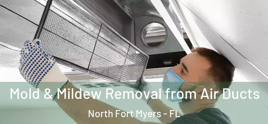 Mold & Mildew Removal from Air Ducts North Fort Myers - FL