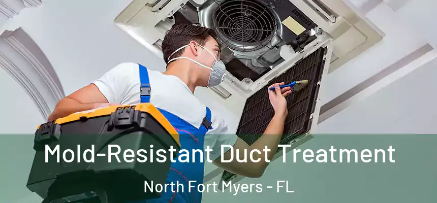 Mold-Resistant Duct Treatment North Fort Myers - FL