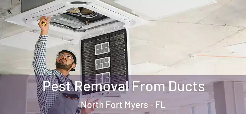 Pest Removal From Ducts North Fort Myers - FL