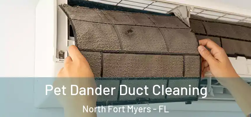 Pet Dander Duct Cleaning North Fort Myers - FL