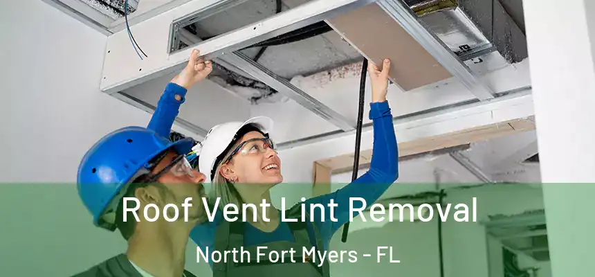 Roof Vent Lint Removal North Fort Myers - FL