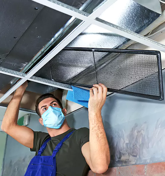 About Air Duct Bacteria Removal in North Fort Myers