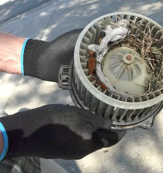 About Air Duct Mice Removal in North Fort Myers, FL