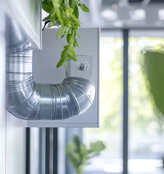 Professional Eco-Safe Dryer Vent Cleaning in North Fort Myers, FL