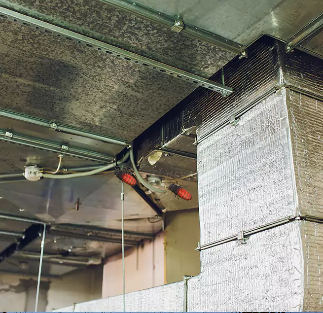 Why Homeowners & Businesses Trust Us in North Fort Myers, FL?