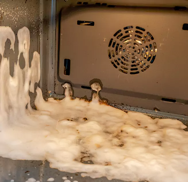 Why Homeowners & Businesses Trust Us in North Fort Myers, FL?