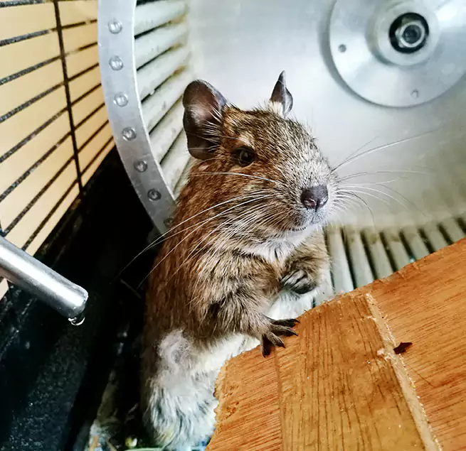 Why Homeowners & Businesses Trust Us North Fort Myers, FL