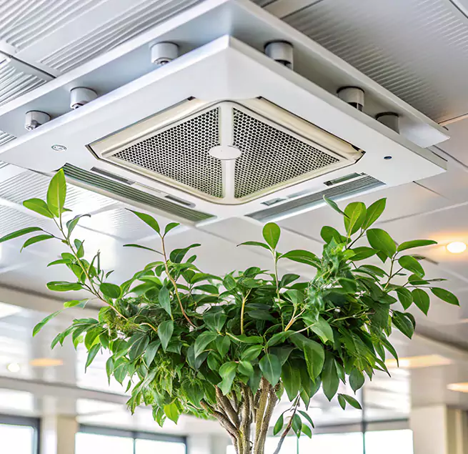 Why Homeowners & Businesses Trust Us in North Fort Myers, FL