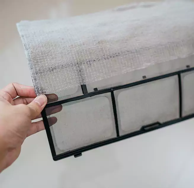 Why Homeowners & Businesses Trust Us in North Fort Myers, FL?