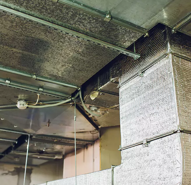 Why Homeowners & Businesses Trust Us in North Fort Myers, FL?